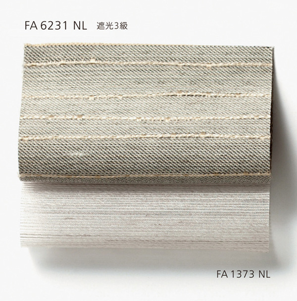 FA6231-NL